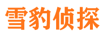 大连侦探公司